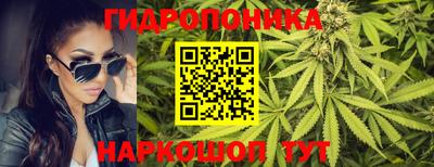 дмт Краснодар
